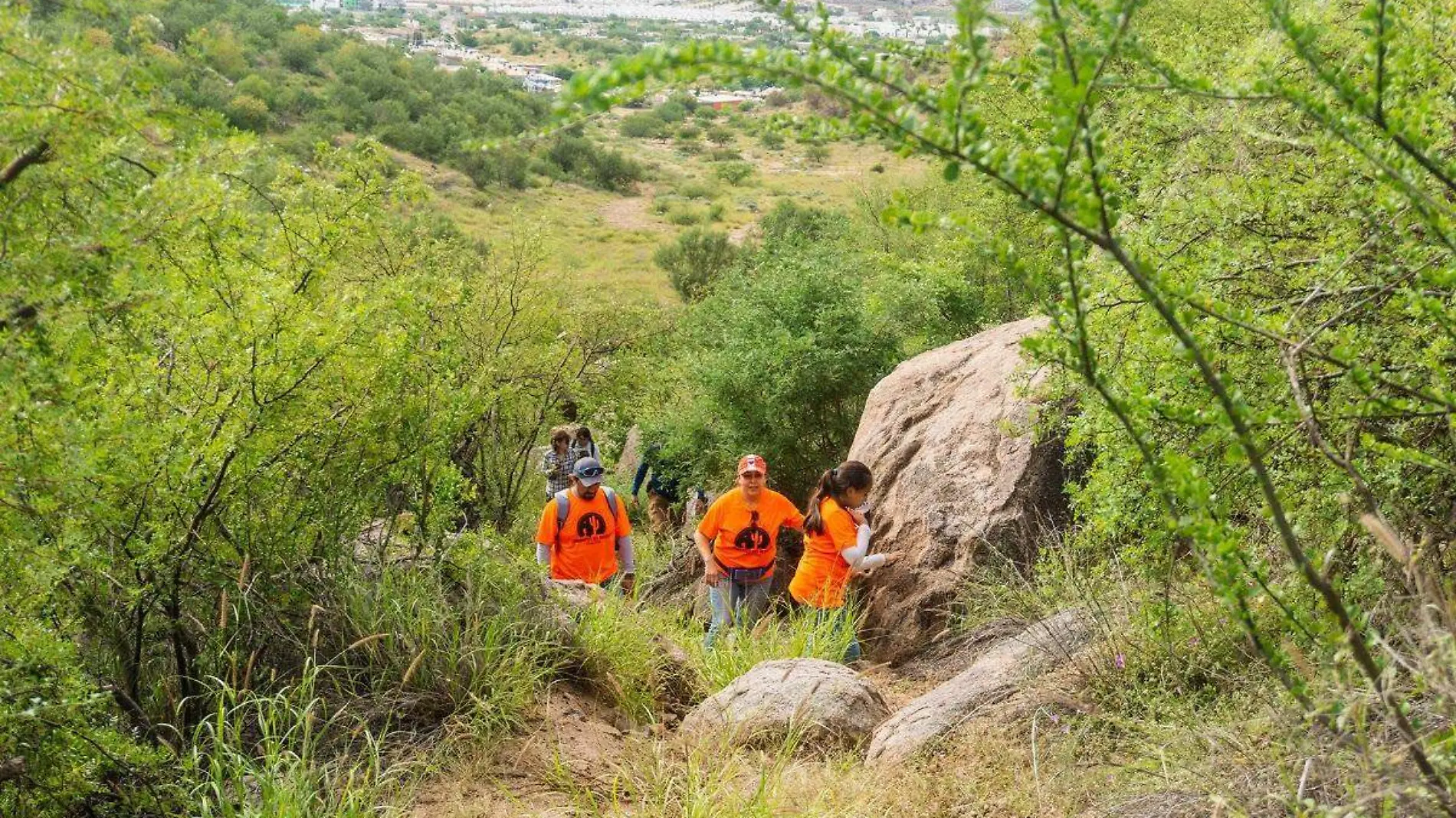 Amigos-del-Cerro-Johnson (8)